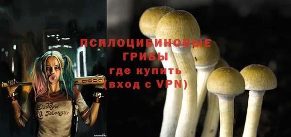 мет Баксан