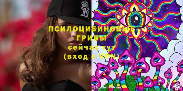 apvp Балабаново