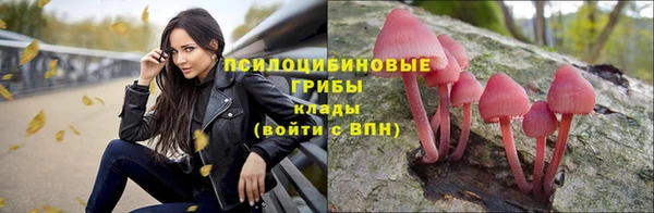 apvp Балабаново