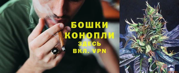 ГАЛЛЮЦИНОГЕННЫЕ ГРИБЫ Арсеньев
